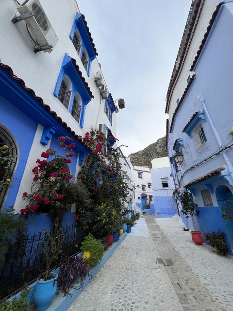       Blue and white narrow alley in Chefchaouen with plants.
  