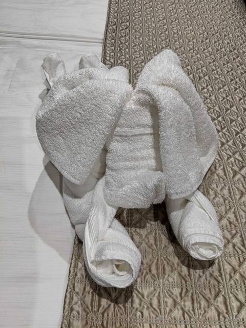 Towel folded into a decorative shape.