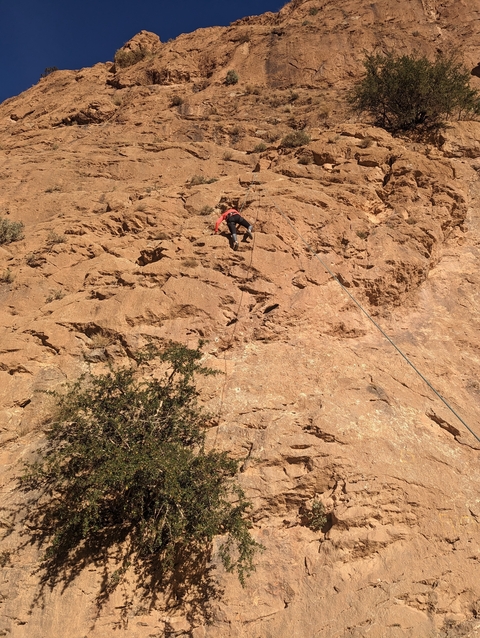       Person climbing a large rock face with ropes.
  