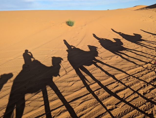       Shadows of camels and people on a sand dune at sunset.
  