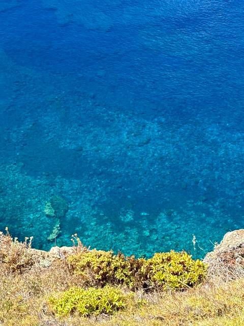       The clear blue sea with coral reefs visible underwater.
  