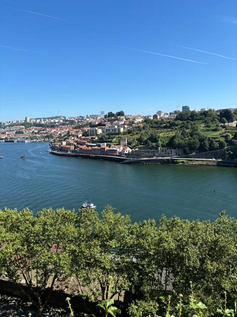       A panoramic view of a city by a river with green trees in the foreground.
  