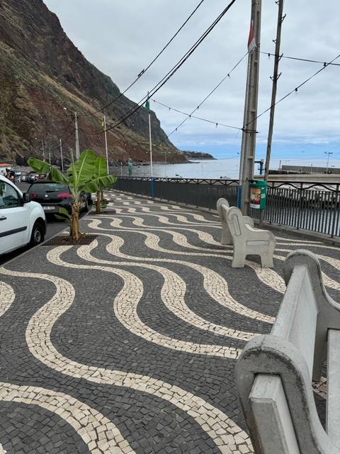       A patterned stone walkway with mountains in the background.
  
