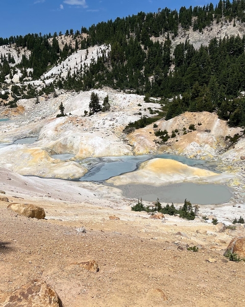 Geothermal hot springs with bright mineral deposits and sparse trees.