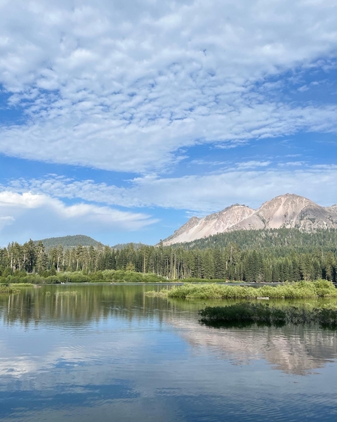       Picturesque view of a lake with forested surroundings and mountains.
  