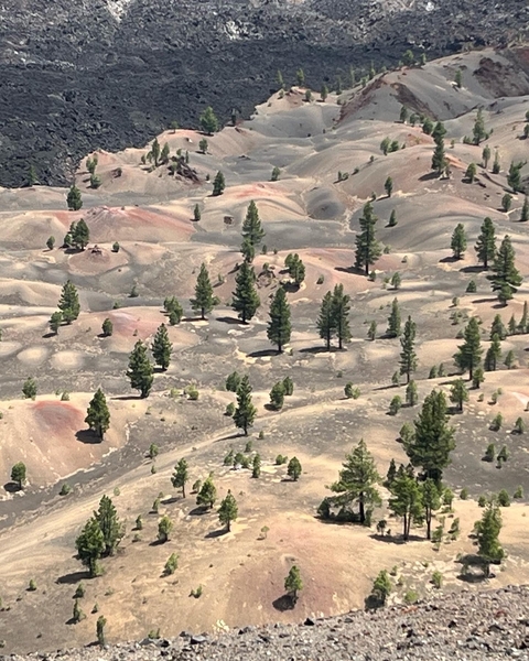 Aerial view of a barren, rocky terrain with sparse trees.