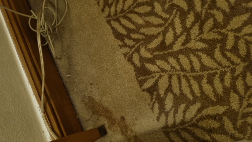       Dirty carpet corner with cables in a room.
  