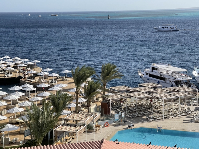 Beachfront area with umbrellas, palm trees, and boats on the water.