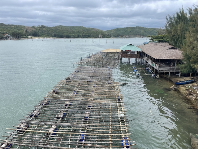       Fishing platforms and huts on a calm body of water.
  