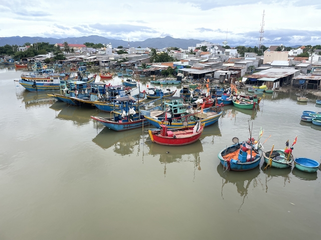       Colorful fishing boats docked in a harbor.
  