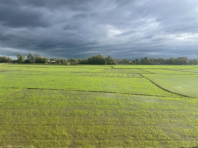       Expansive green fields with a stormy sky in the background.
  