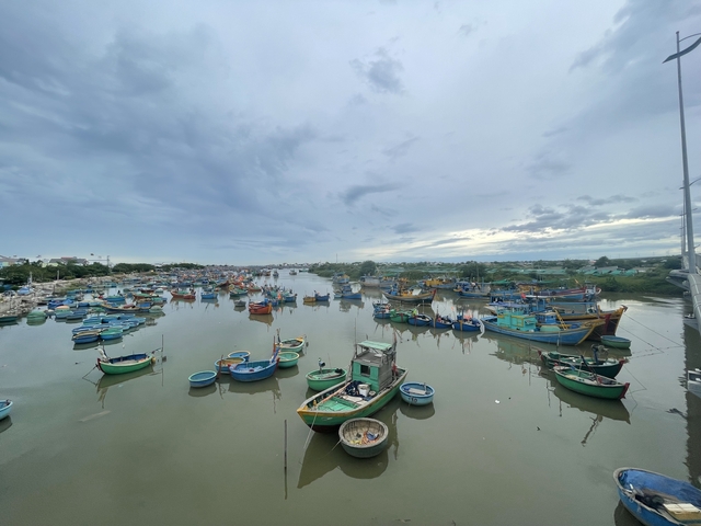       Wide view of colorful boats in a large waterway.
  