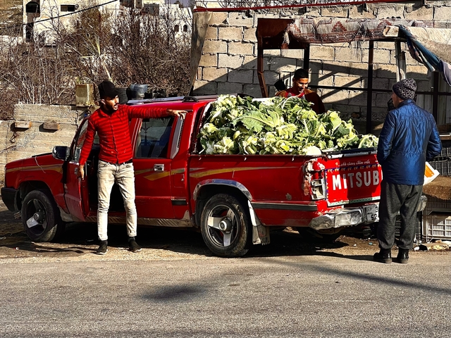       Men selling cabbage from the back of a pickup truck.
  