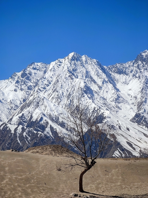 Imposing snow-covered mountain peak under clear sky.