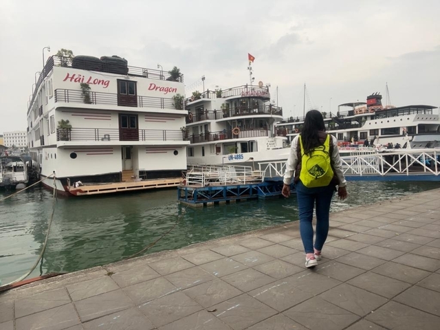       Person walking on a pier towards moored cruise ships.
  