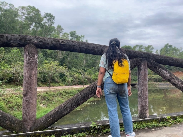 Person leaning on a wooden bridge over a small river.