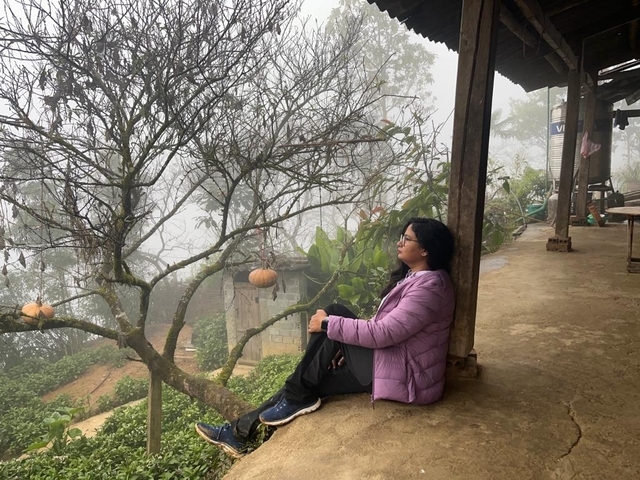       Person sitting in a foggy rural environment with bare trees.
  