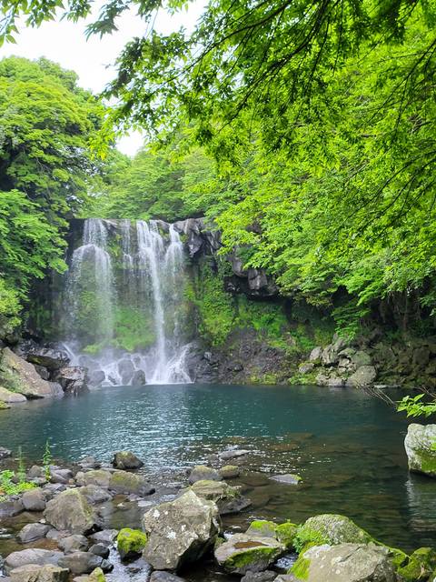 Small waterfall with lush greenery in a serene setting.