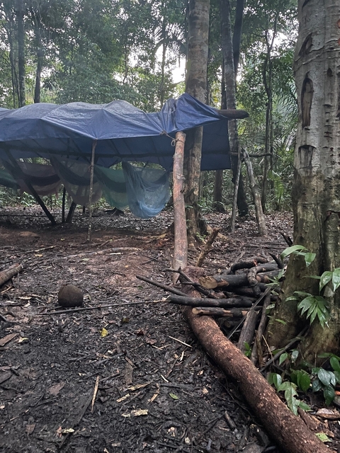       A makeshift shelter setup in a dense forest area.
  