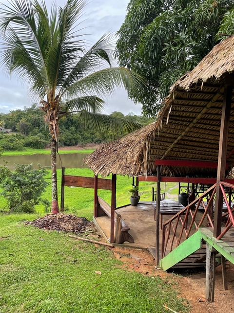      A thatched-roof building overlooking a river and forest.
  