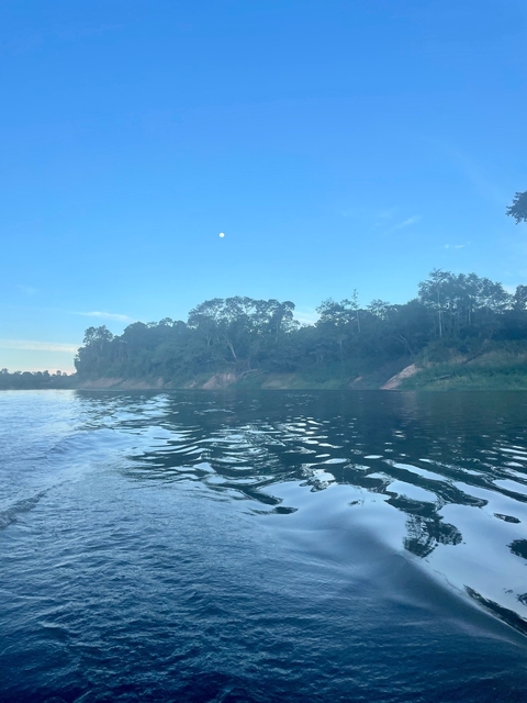       A calm river scene with dense forest and a visible moon.
  