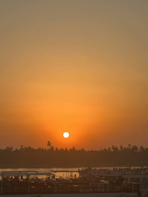       Sunset view over a river with silhouettes of palm trees.
  