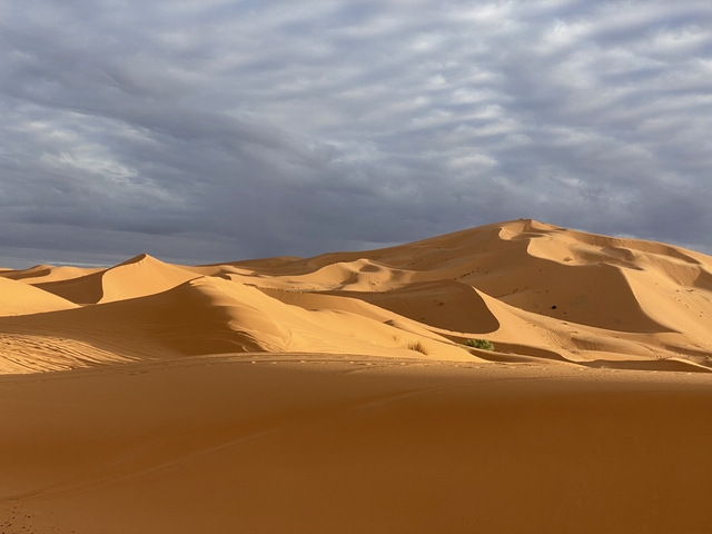 Vast sand dunes under a cloudy sky.