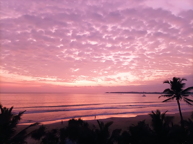 Pink and purple sunset over a beach with palm trees.