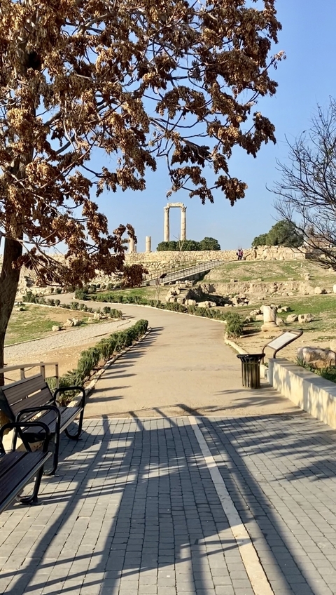 Best of Jordan customer review photo 