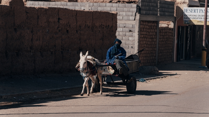 Person riding a donkey cart through a street