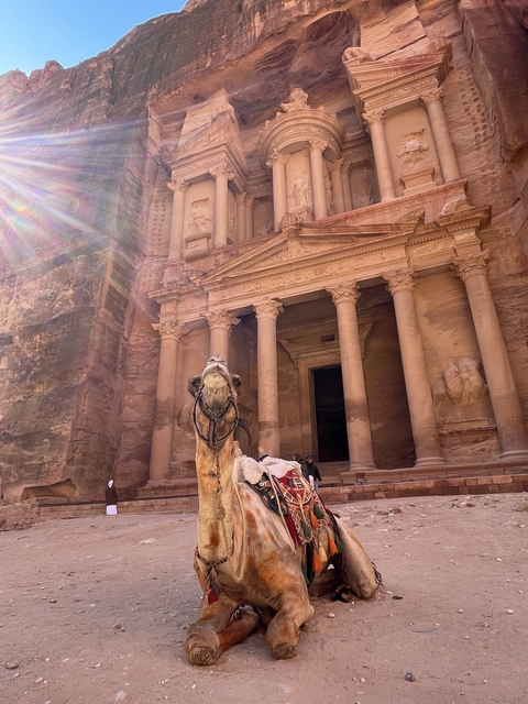 Camel sitting in front of the Petra Treasury.
