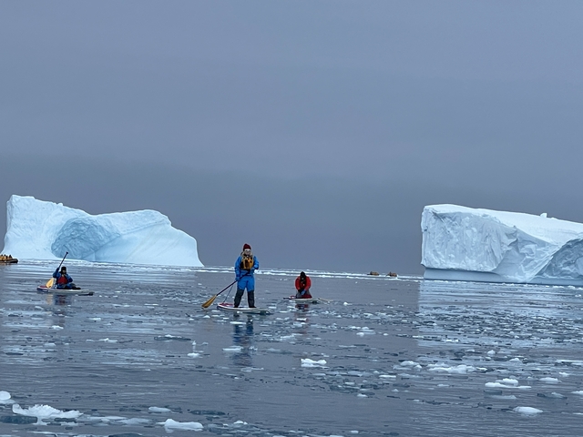 People stand-up paddleboarding among icebergs.