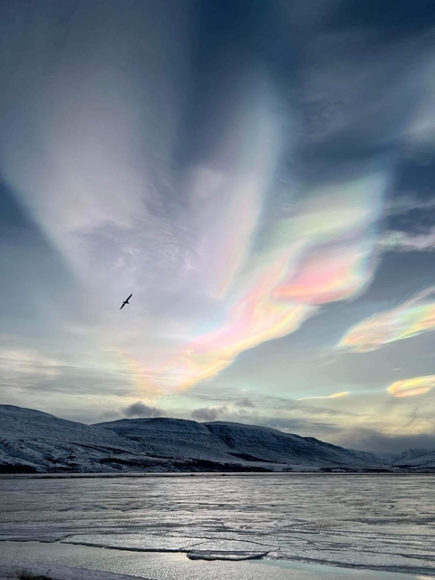 Vibrant clouds with varying shades, and a bird flying.
