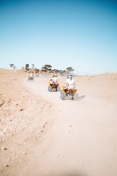 People riding ATVs in a desert-like landscape.