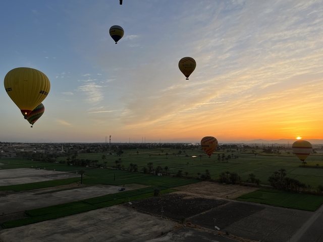 Hot air balloons floating over fields at sunrise or sunset.