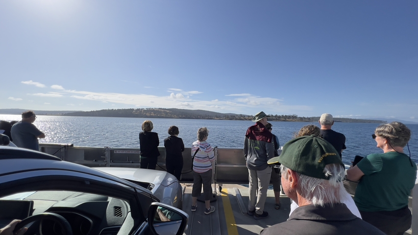 Group of passengers on a ferry observing the water.
