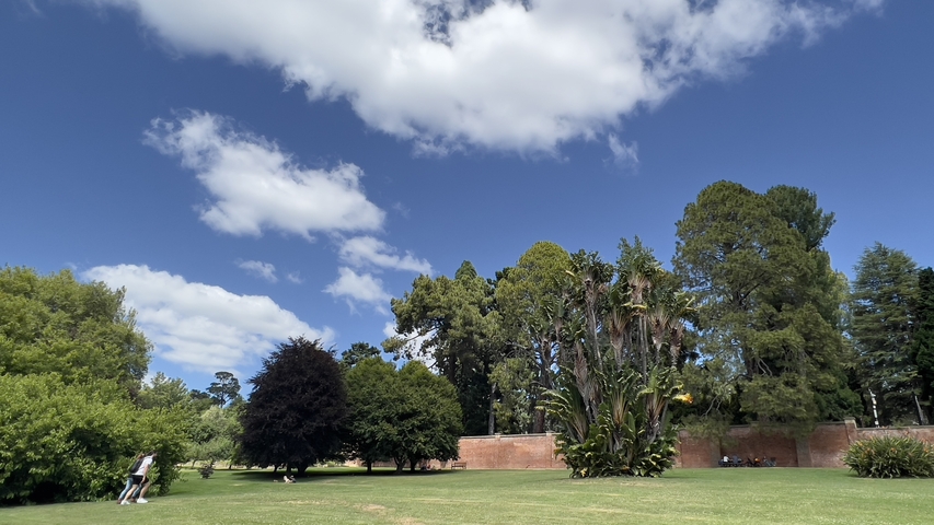 Park with people walking among trees and a clear blue sky.