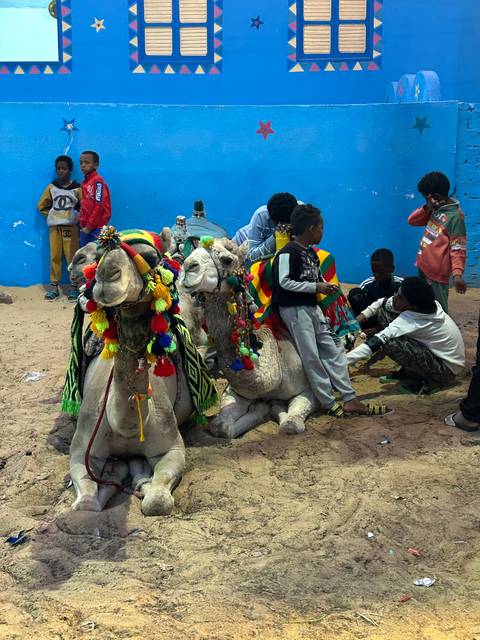       Camels and tourists at a vibrant setup.
  
