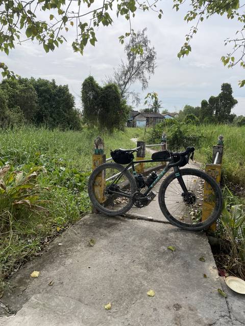       Bicycle on a concrete path with greenery.
  