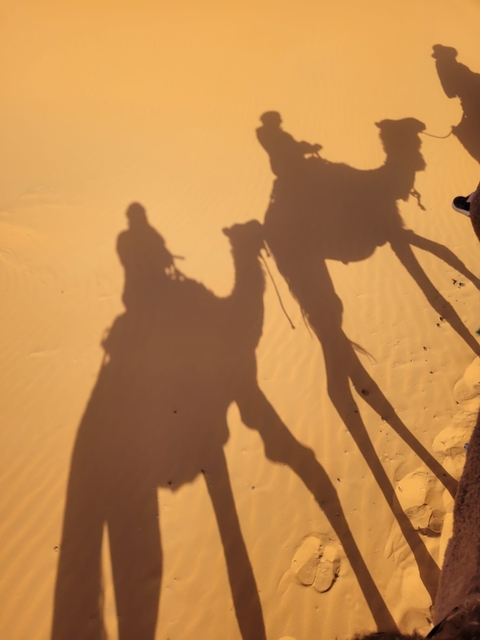 Shadows of camels and riders on golden desert sand.