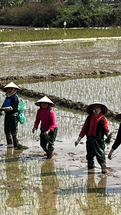       Photo d'avis client sur Cycle Vietnam 
  