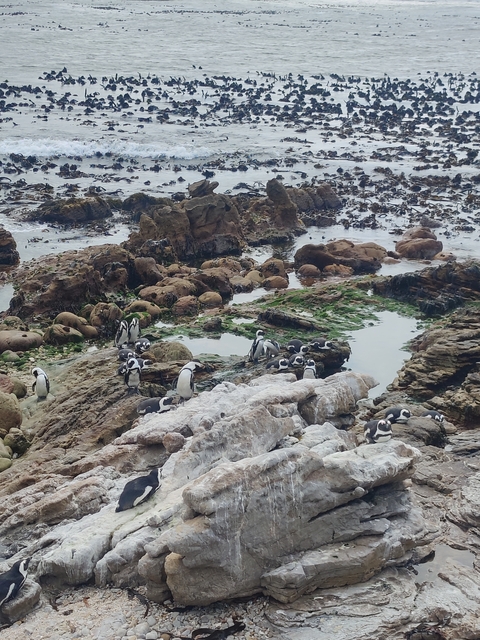 Itinerary Image 6