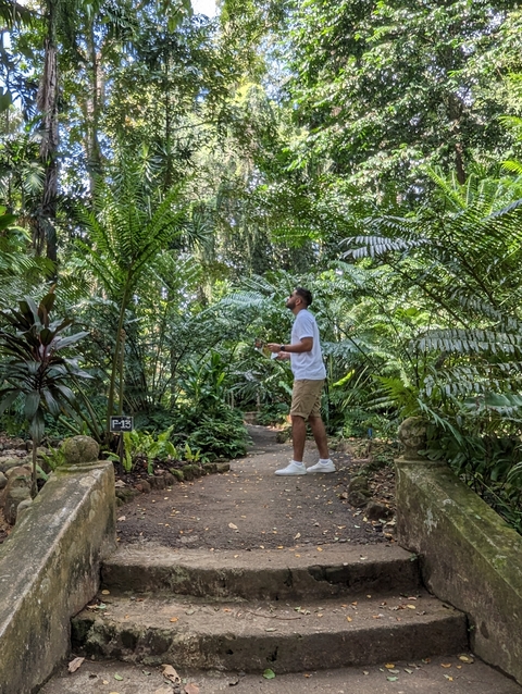       Person exploring a lush green botanical garden.
  