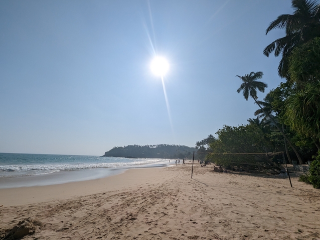       Beach with palm trees and people under the sun.
  