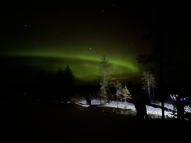 Aurora borealis illuminating the night sky over a snowy landscape.
