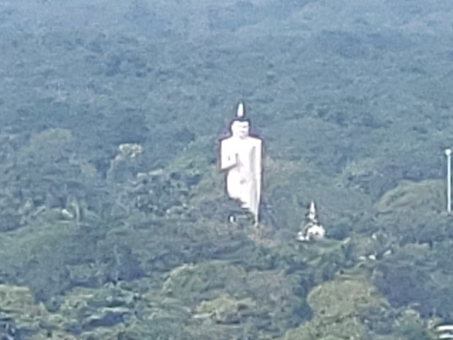       A large blurred statue in a forested area.
  