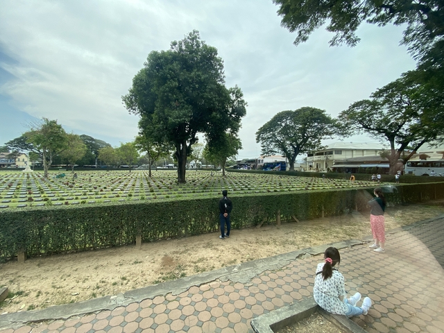       A cemetery with rows of headstones and trees.
  
