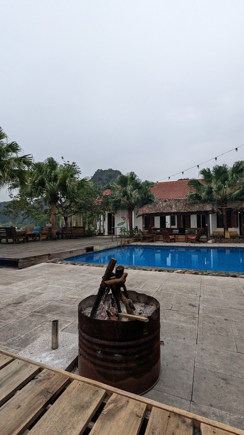       A pool with a house and palm trees in the background.
  