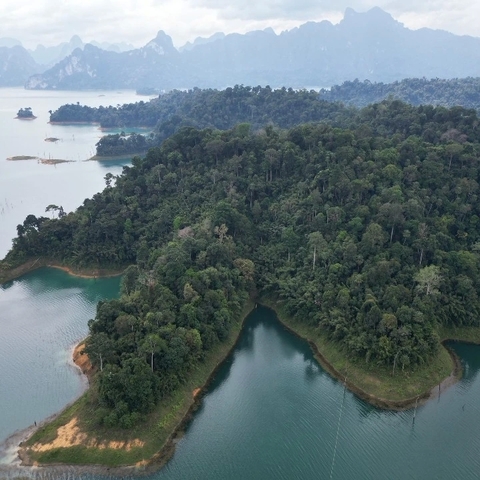      Photo d'avis client sur Expérience en Thaïlande et au Vietnam 
  