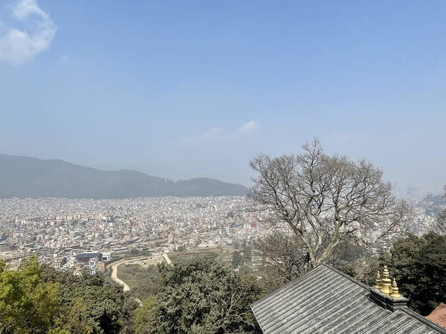       Cityscape with trees in the foreground under a clear blue sky.
  